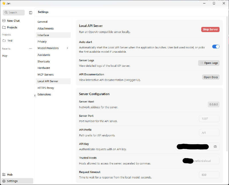 Lancement du mode serveur de Jan